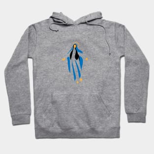 Assumption Of Mary Hoodie